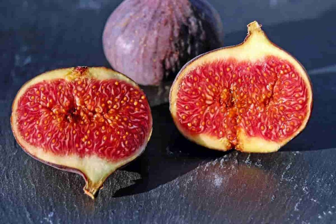 Best quality fig juice bulk price