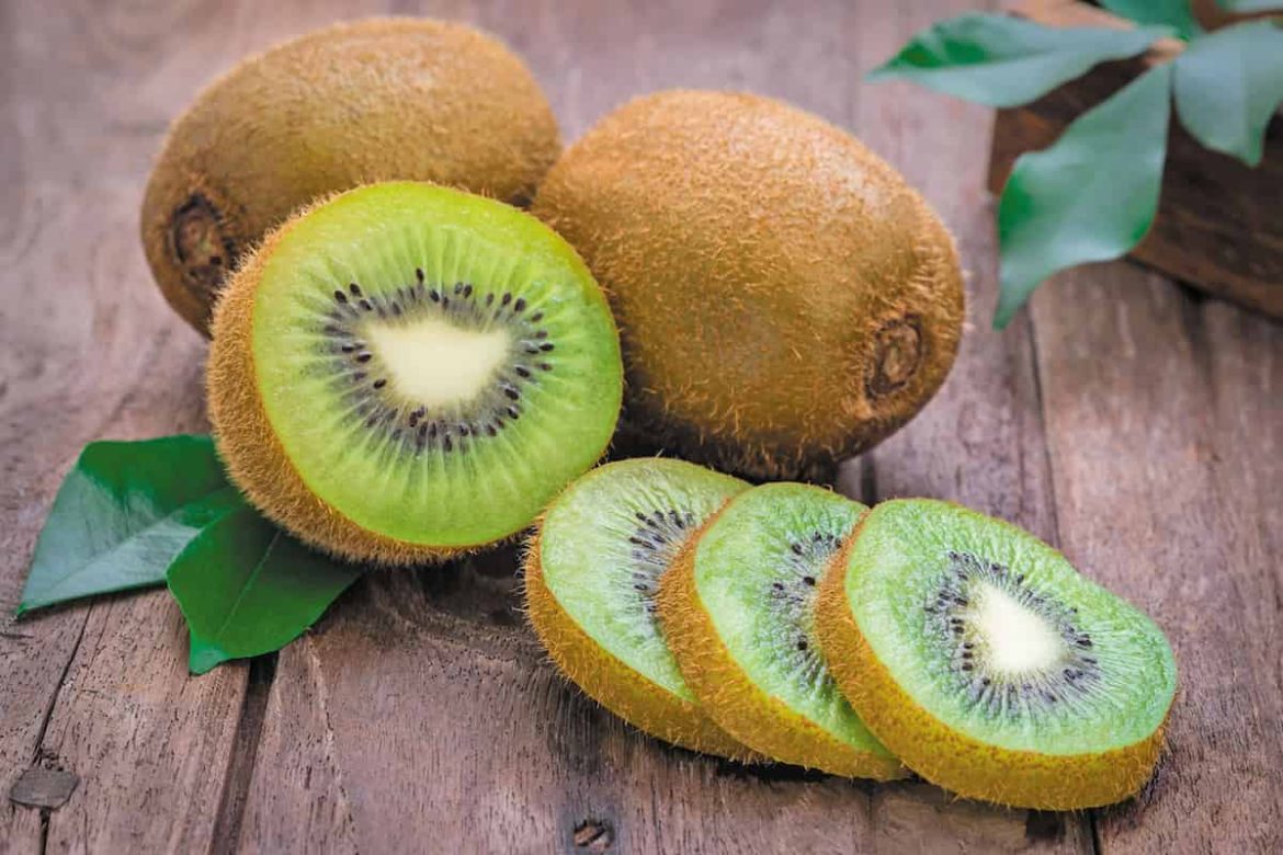 Kiwi harvest season in China+price