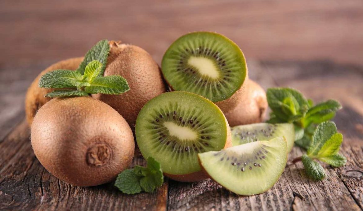 Kiwi fruit farming in India for beginner traders