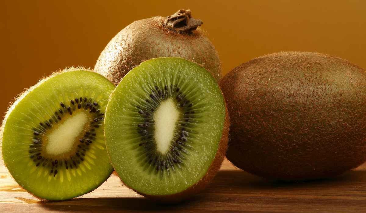  Kiwi fruit farming in India for beginner traders 