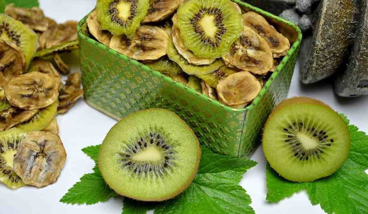  New-Zealand Dried Kiwi price list in 2023 