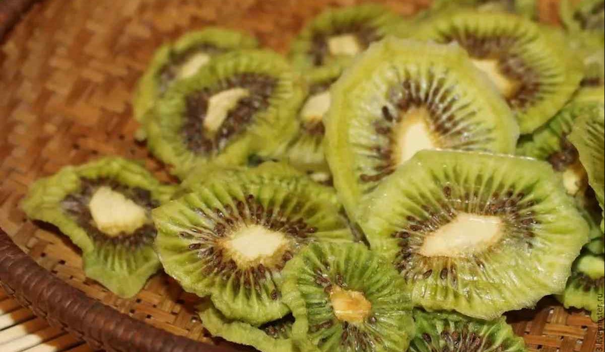  New-Zealand Dried Kiwi price list in 2023 