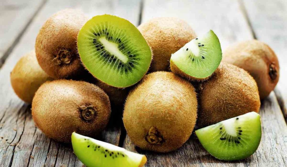 Kiwi harvesting season in India