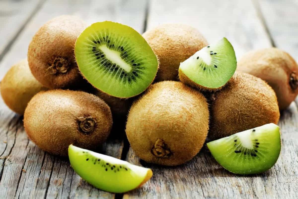  Buy kiwi fruit origin types + price 