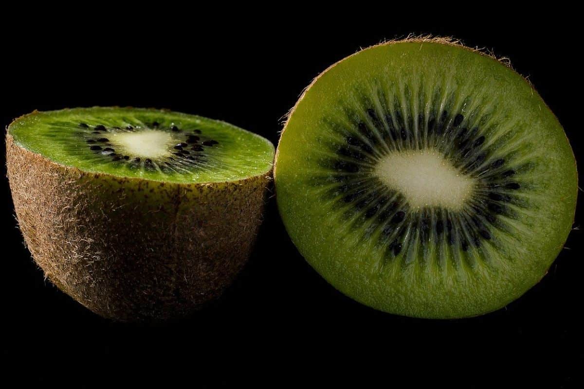  Buy kiwi fruit origin types + price 