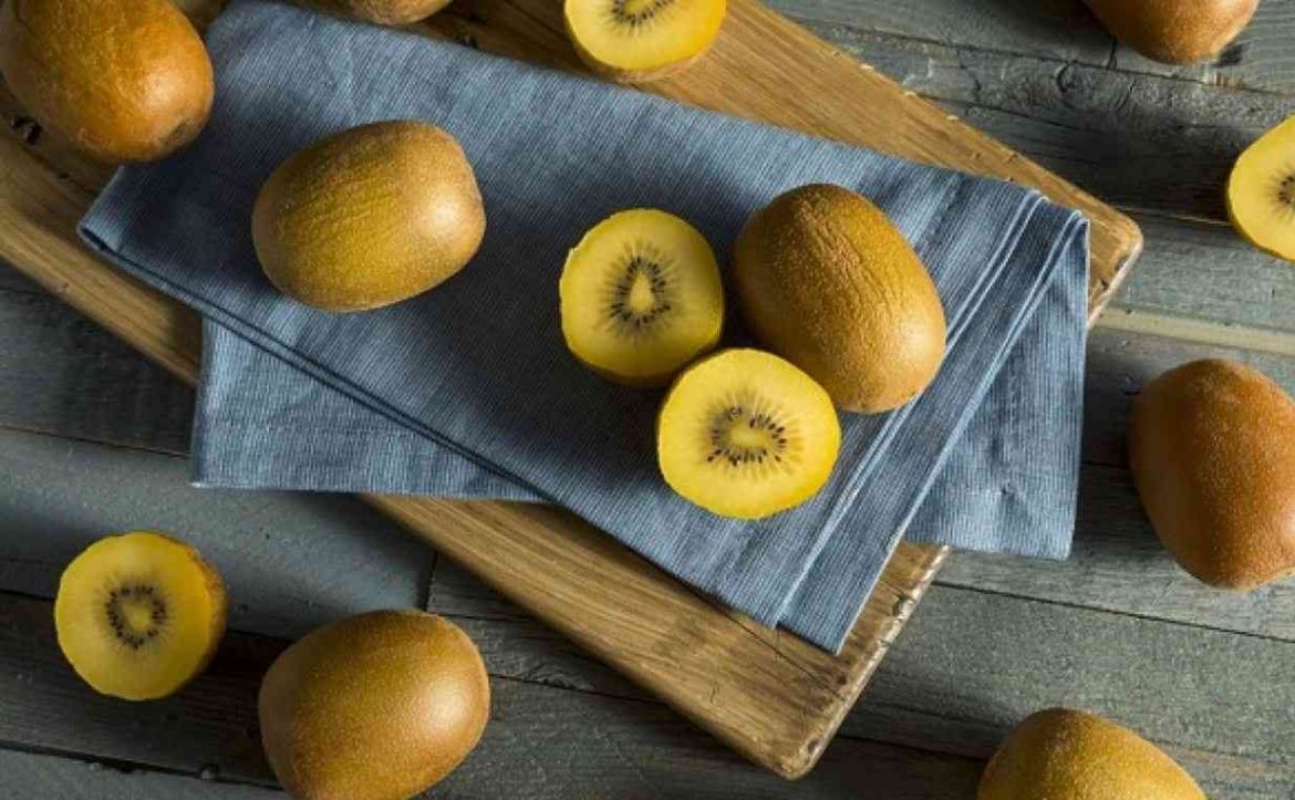 Buy Golden kiwi season + Best Price