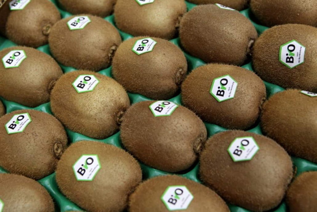  Kiwi Fruit Vitamin C E 