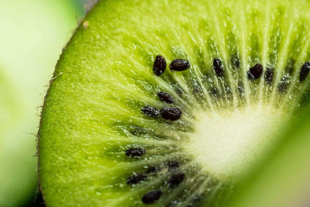  Kiwi Fruit Vitamin C E 