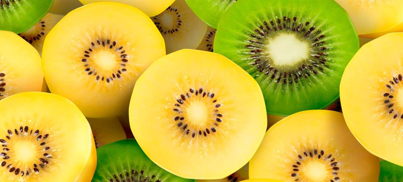  Buy kiwifruit yellow calories Types + Price 