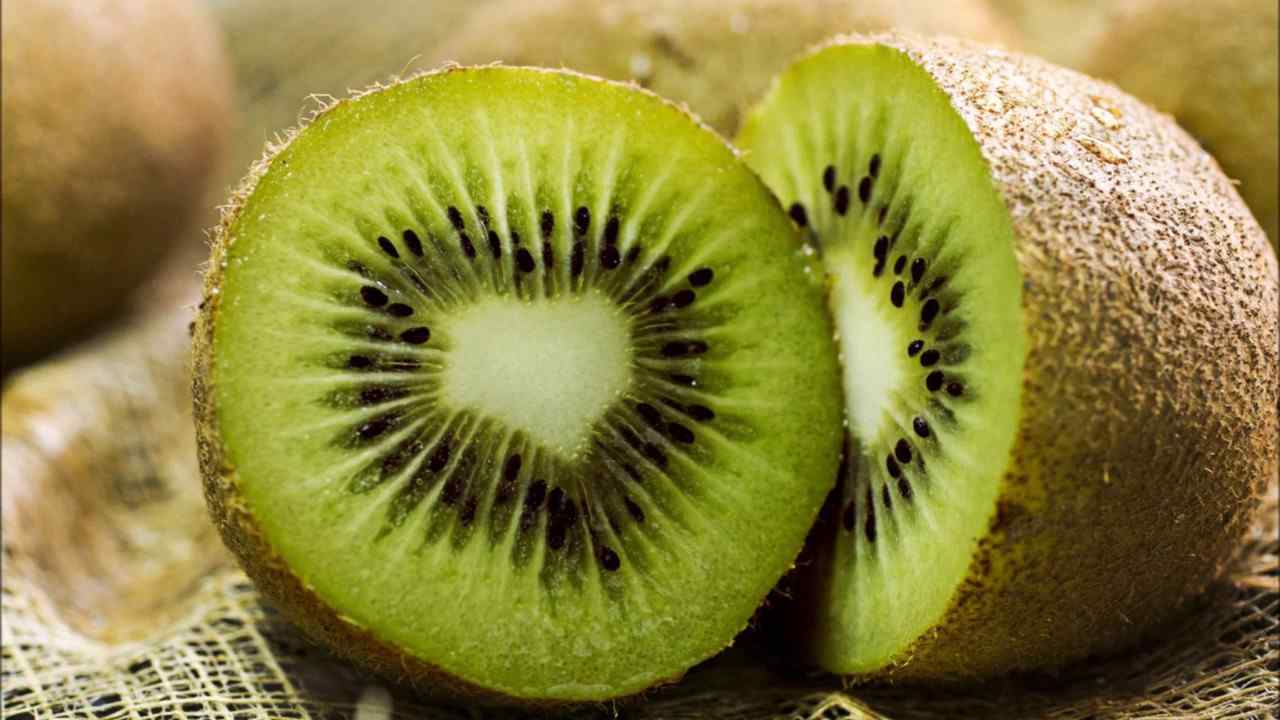  kiwi fruits calories price + wholesale and cheap packing specifications 