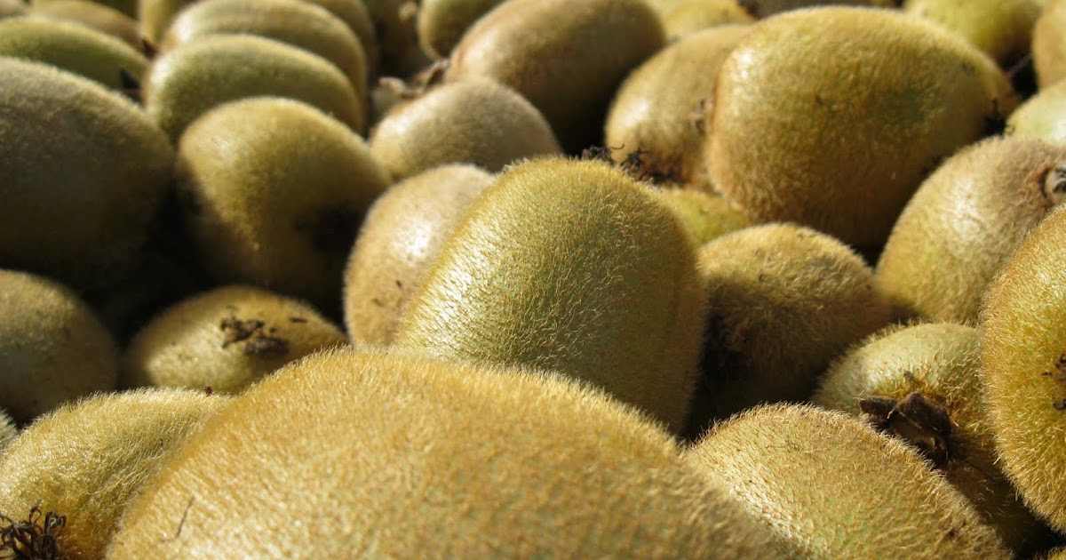  kiwi fruits calories price + wholesale and cheap packing specifications 