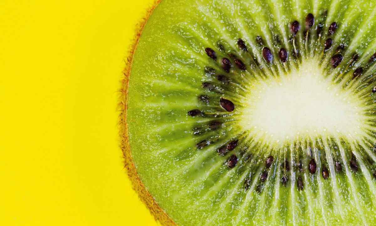  kiwi fruits calories price + wholesale and cheap packing specifications 