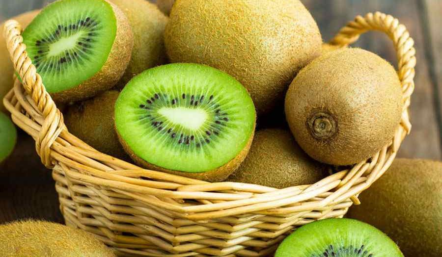  kiwi fruits calories price + wholesale and cheap packing specifications 