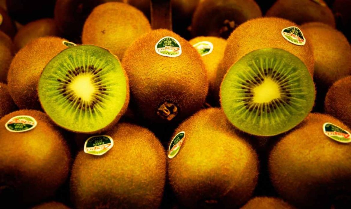 The price of new Zealand kiwifruit from production to consumption