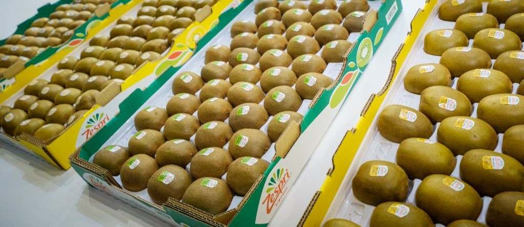  The price of new Zealand kiwifruit from production to consumption 