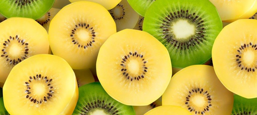  The price of new Zealand kiwifruit from production to consumption 