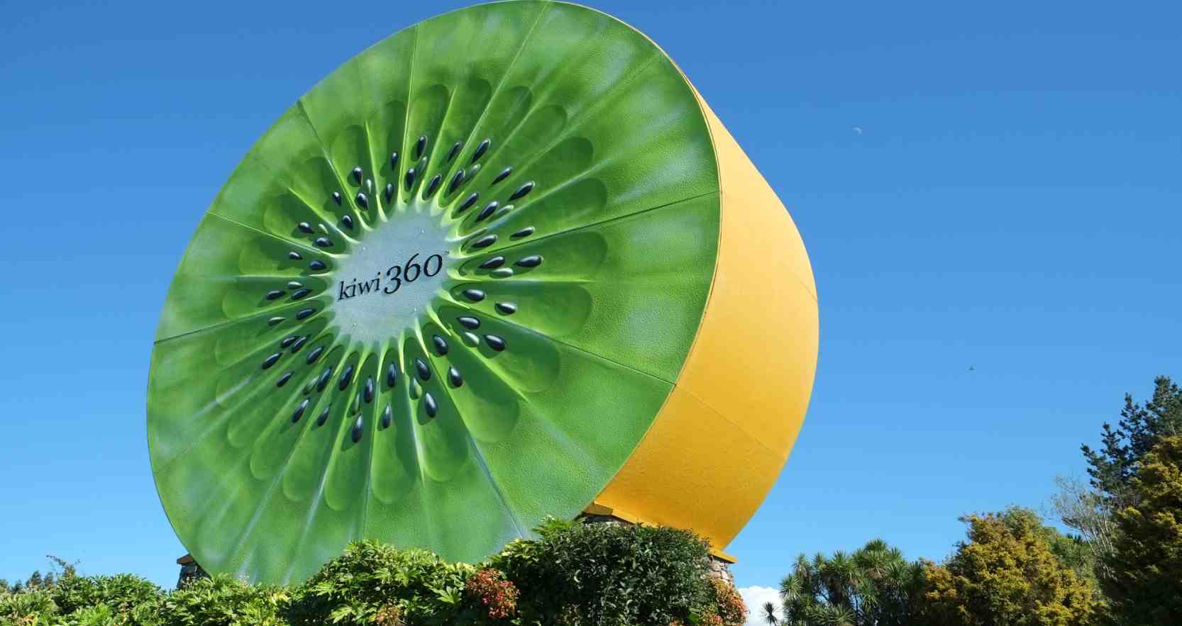  The price of new Zealand kiwifruit from production to consumption 