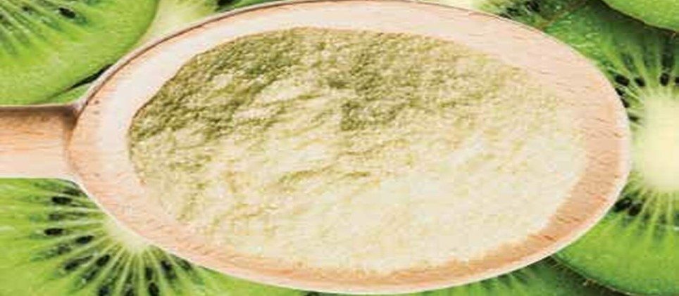  The purchase price of kiwifruit trellis + advantages and disadvantages 