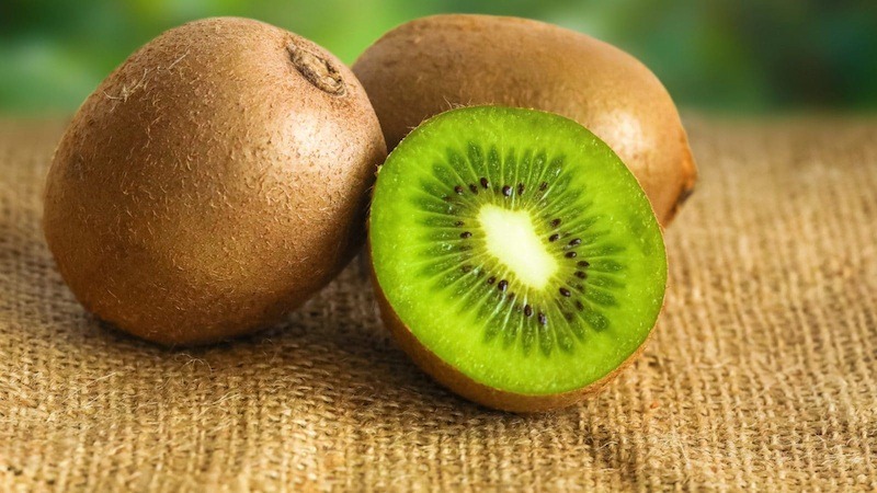  Getting to Know Kiwi Plant + the Exceptional Price of Buying Kiwi Plant 