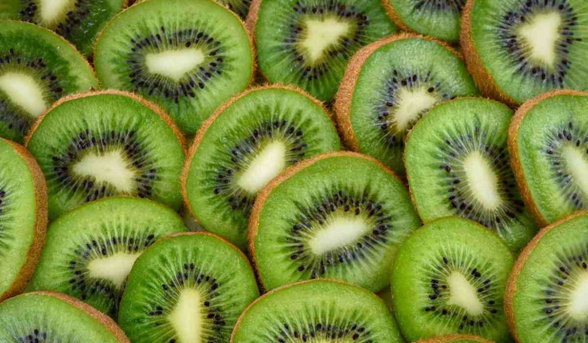 Kiwi fruit temperature range