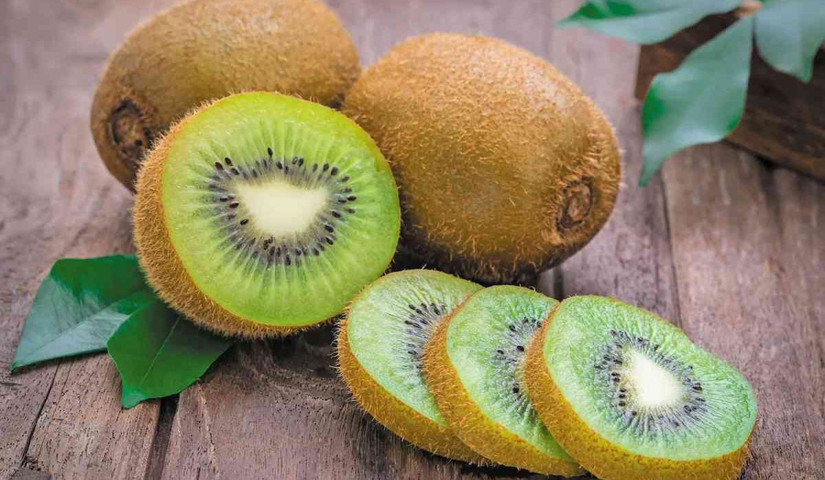  Kiwi fruit temperature range 