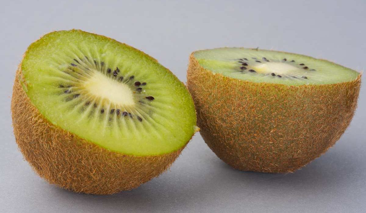  Buying the latest types of kiwi fruit products from the most reliable brands in the world 