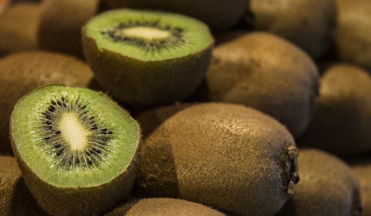  Buying the latest types of kiwi fruit products from the most reliable brands in the world 