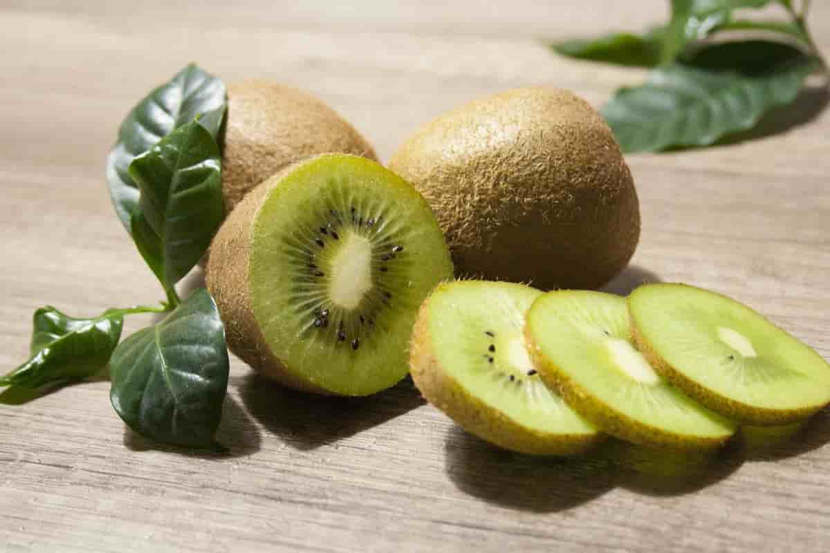  Kiwi fruit plant leaves | buy at a cheap price 