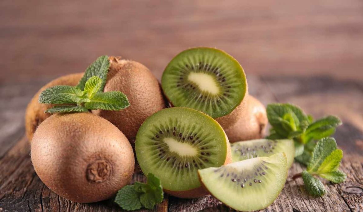 Best Kiwi fruit Purchase Price + Quality Test