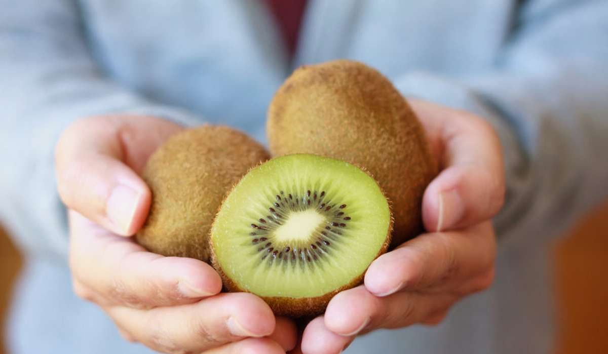  Best Kiwi fruit Purchase Price + Quality Test 