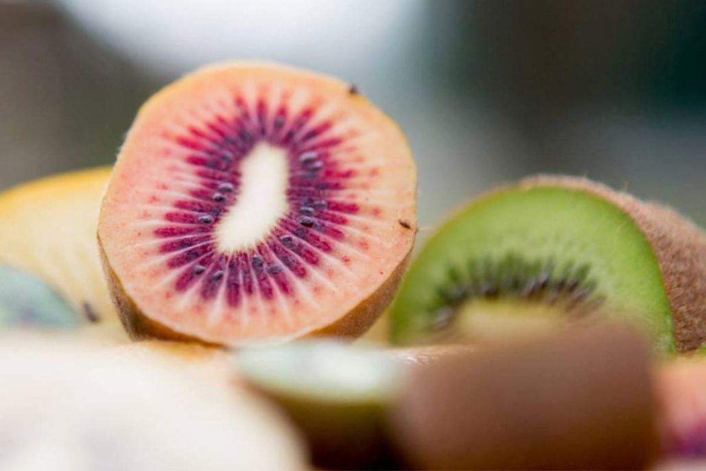  Introduction of red kiwi fruit nz + Best buy price 