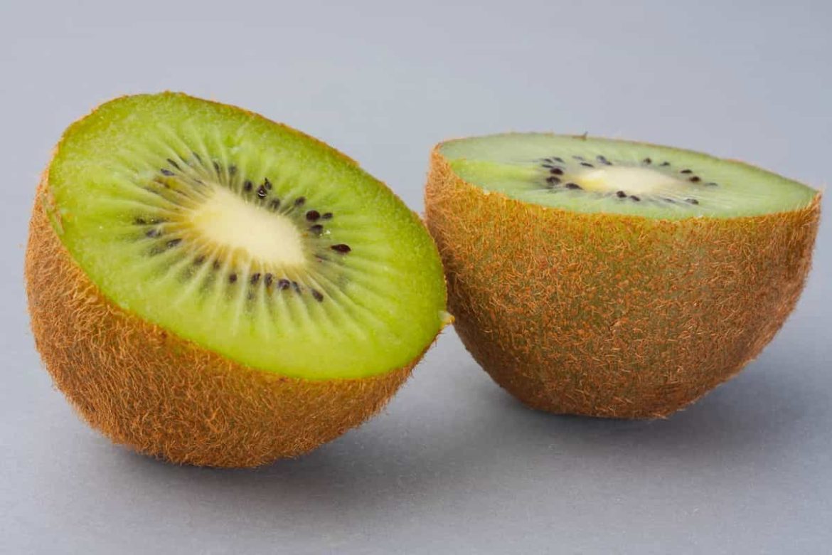 Kiwi harvest time in New Zealand