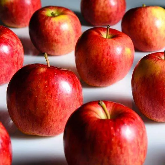 Buy gala apple per pound types + price