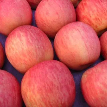 Buy gala apple per pound types + price