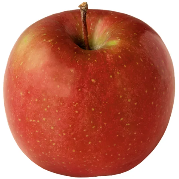 Buy gala apple per pound types + price