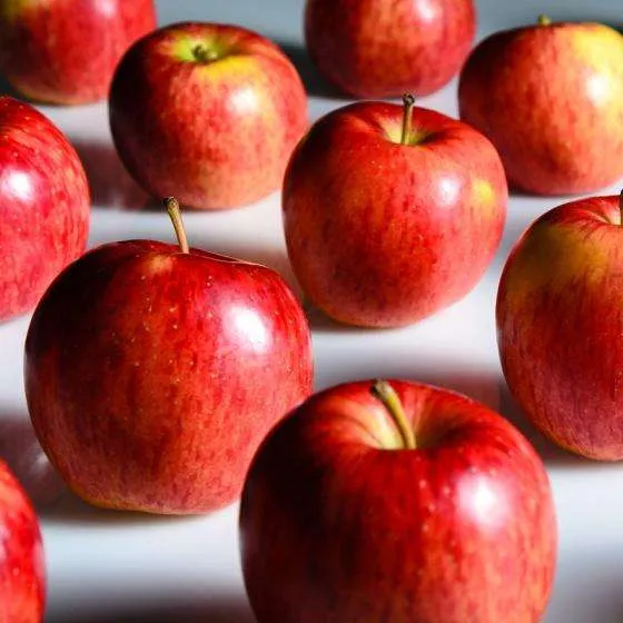Buy gala apple | Selling all types of gala apple at a reasonable price