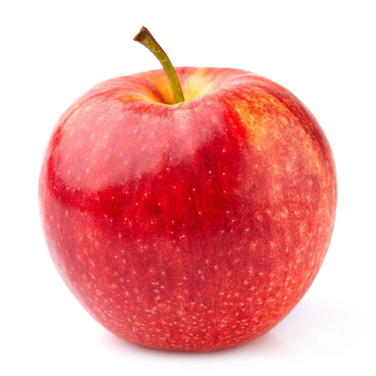 Buy red delicious apple + best price
