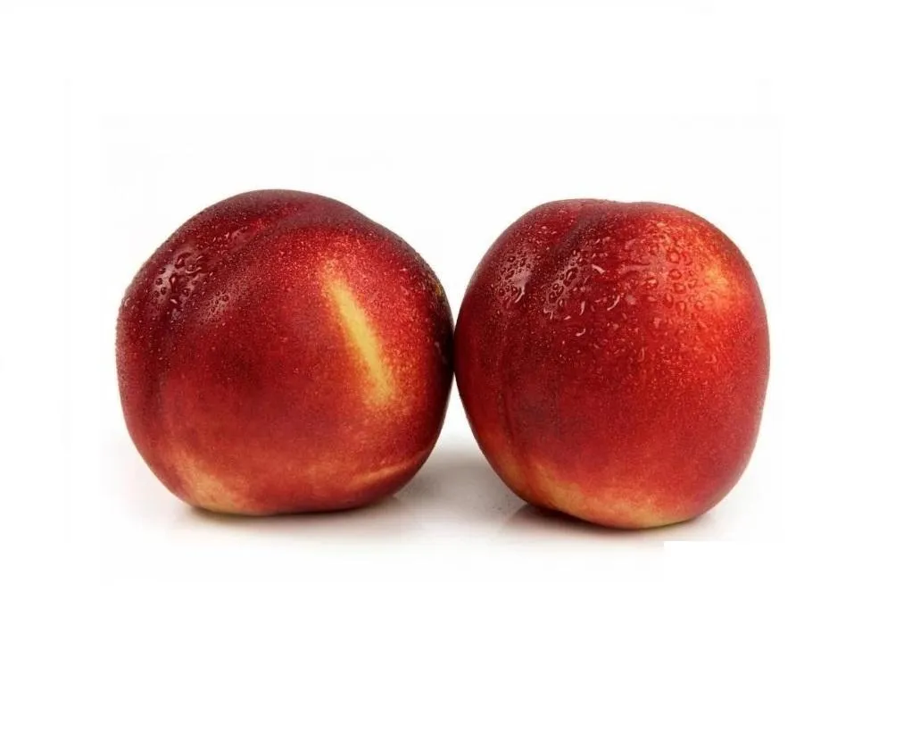 Price and buy red delicious apples taste + cheap sale