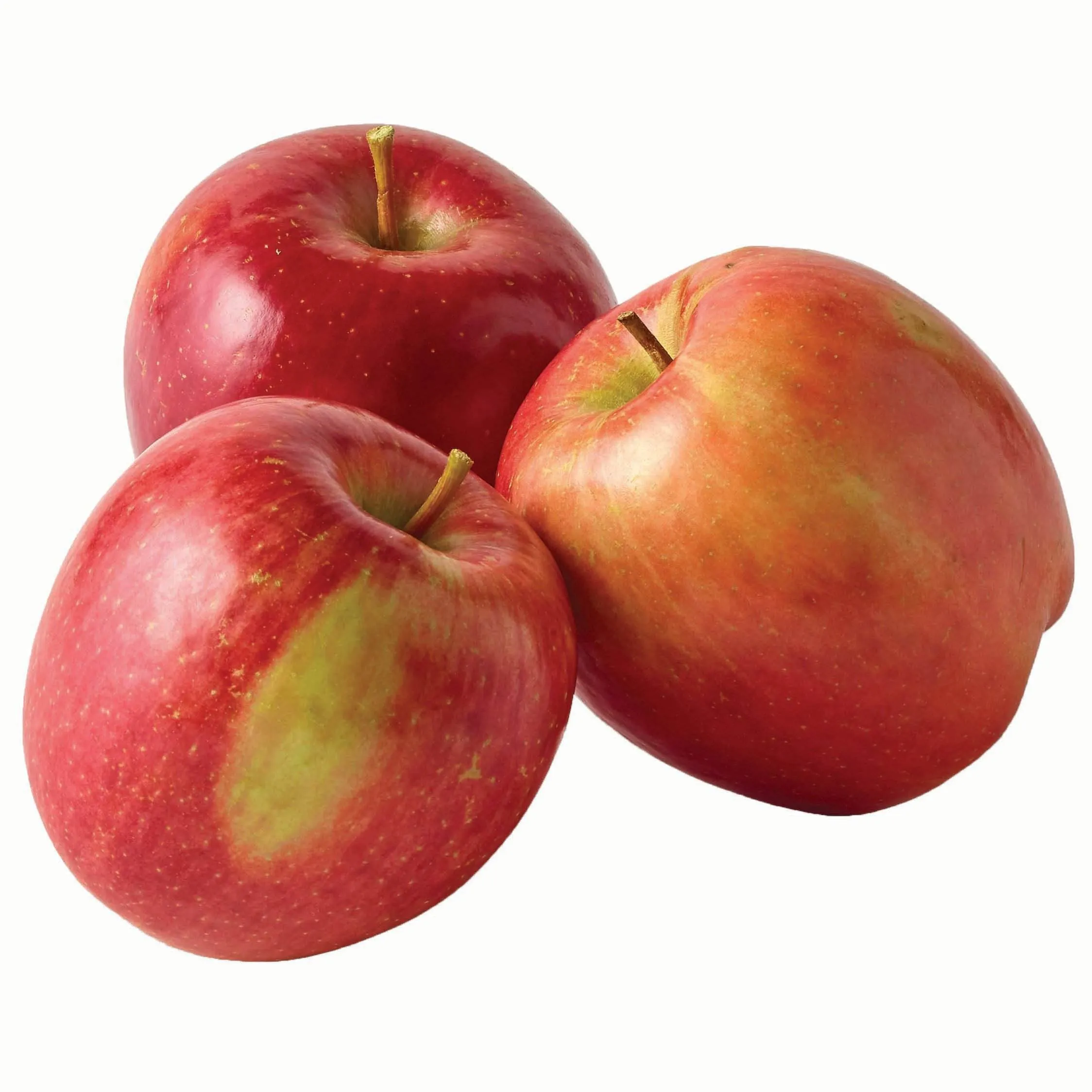 Buy and wholesale price of granny smith apple