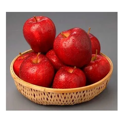 Buy and wholesale price of granny smith apple