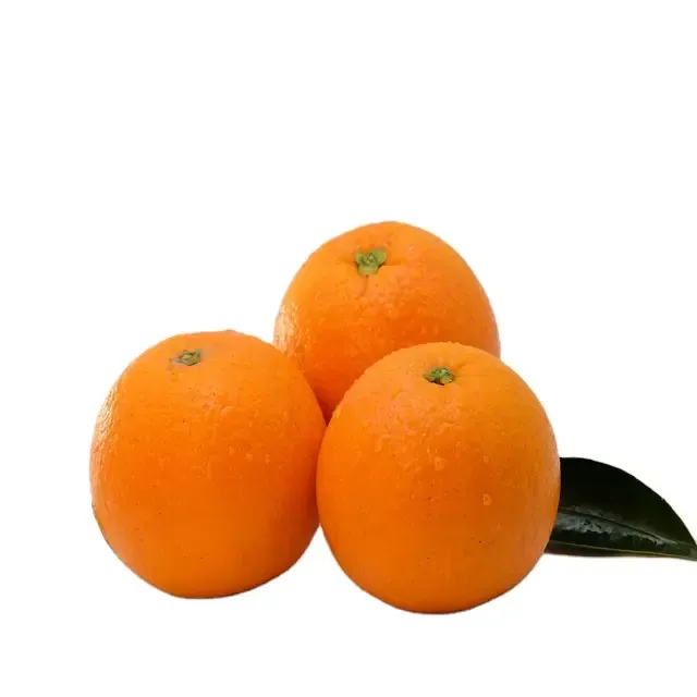 Buying the newest types of orange fruit