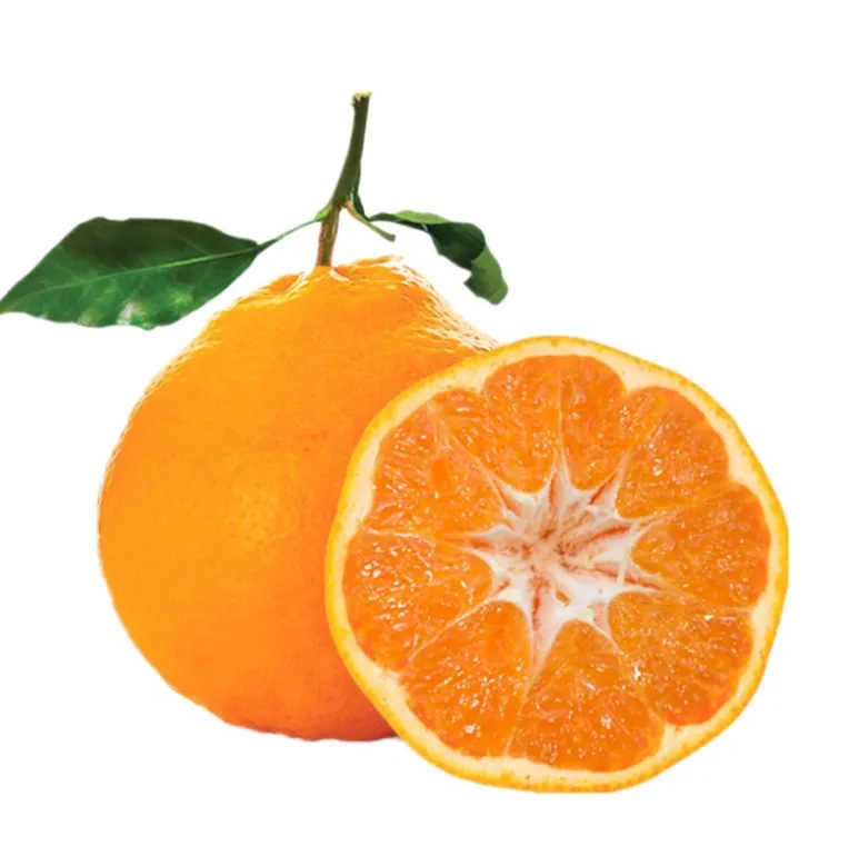 The purchase price of orange fruit from production to consumption in bulk