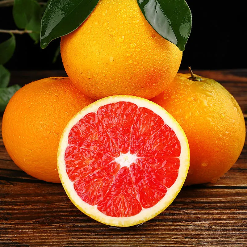 Buy red navel orange + best price