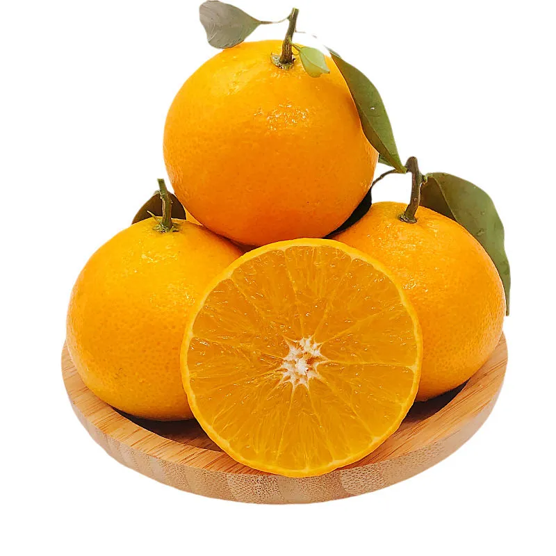 Red navel orange vs blood orange | Reasonable price, great purchase