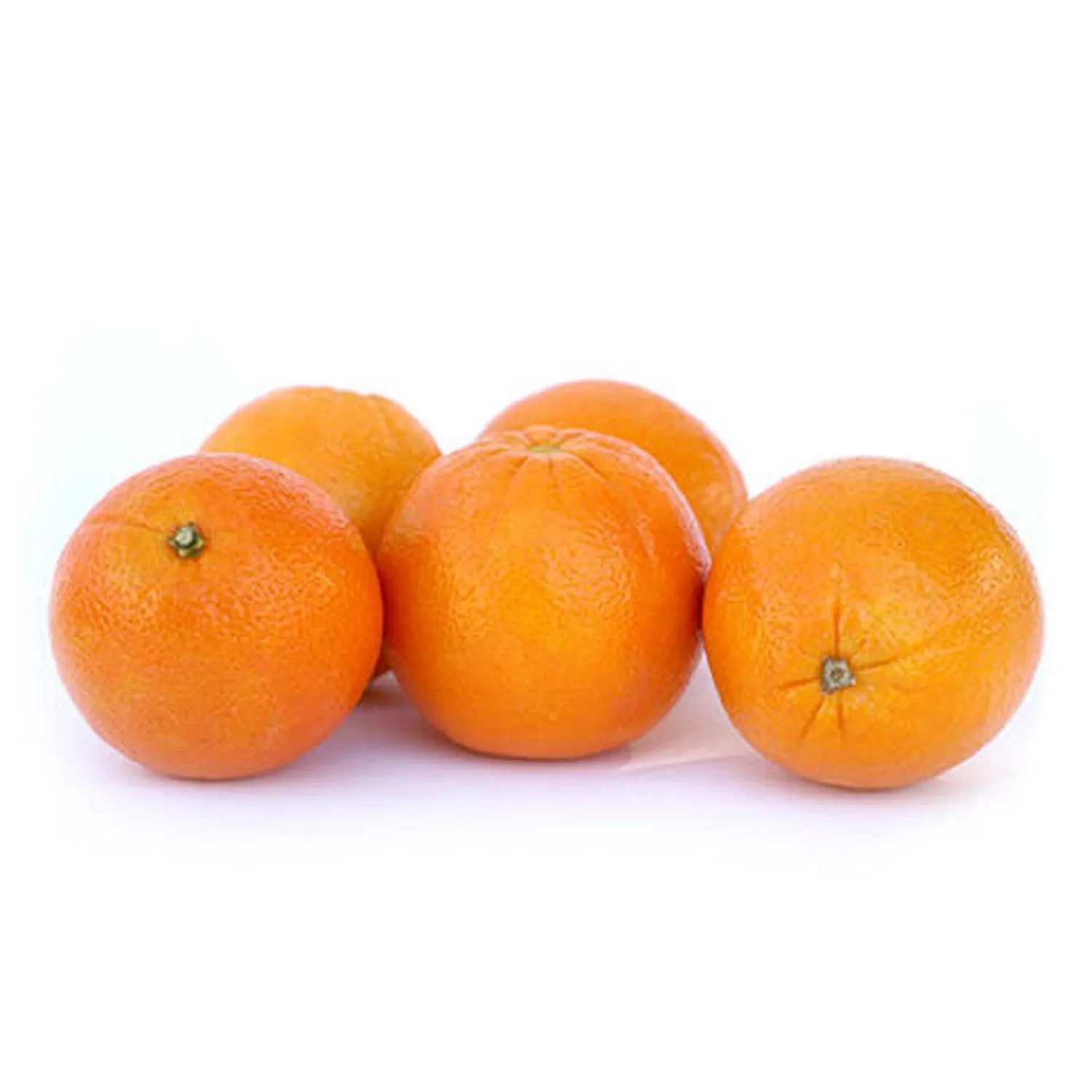 Buy and price of cara cara orange vs navel