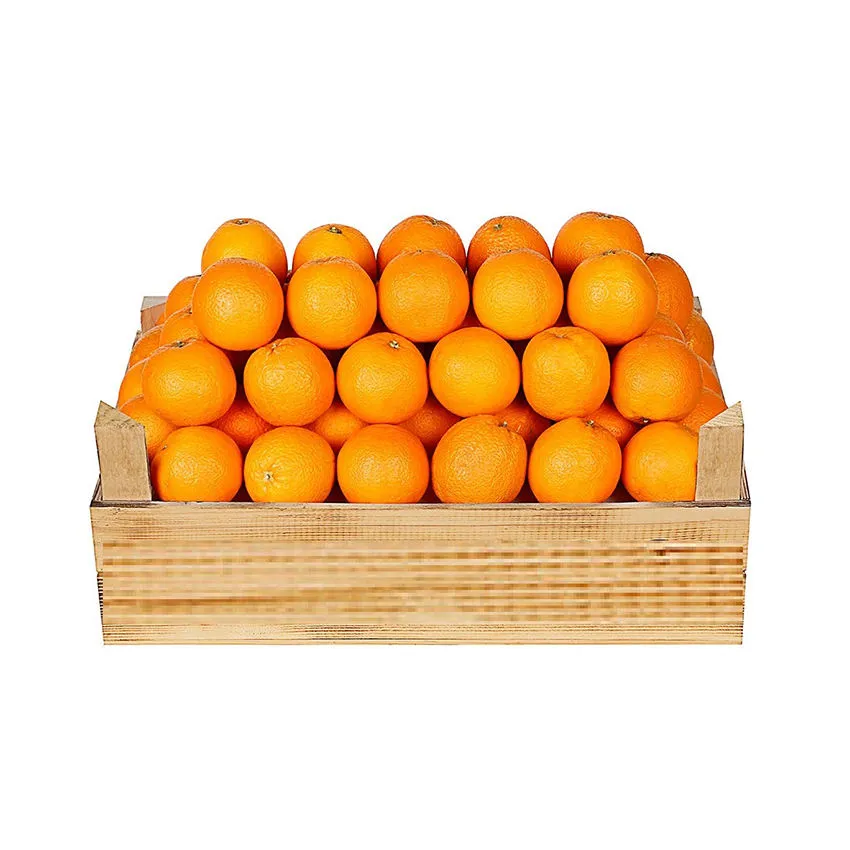 cara cara orange vs navel orange + best buy price