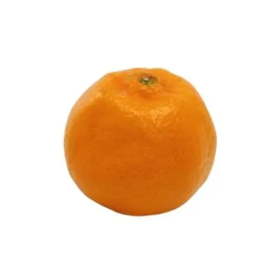 cara cara orange vs navel orange + best buy price