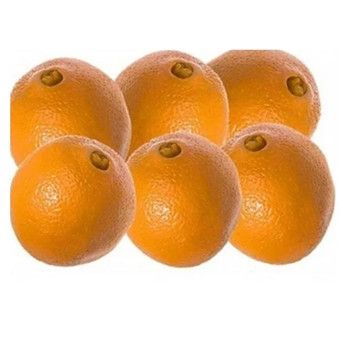 Buy grapefruit size vs orange + great price with guaranteed quality