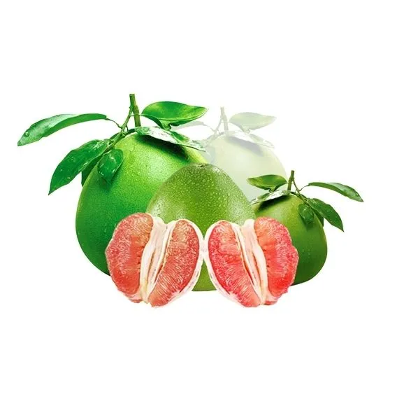 Buy grapefruit size vs orange + great price with guaranteed quality