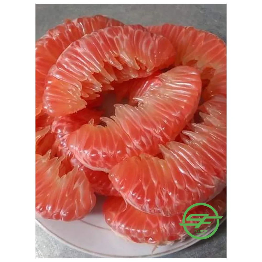 grapefruit size purchase price + sales in trade and export